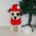 Dog Christmas Santa Hat and Coat