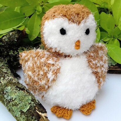 Baby Barn Owl - Chocolate Orange Cover