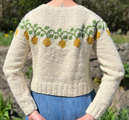 Lemon Vine Pullover