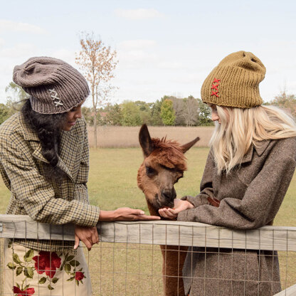 Blue Sky Fibers Glidden Hat PDF