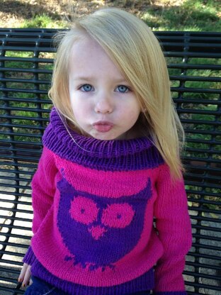 Owl Cowl Sweater