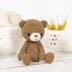 Edward the Small Teddy Bear