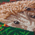 Crystal Art Hedgehog, 40x50cm Diamond Painting Kit