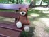 Bruno Bear