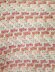 Pretty in Pink Baby Blanket (US)