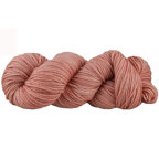 Turmeric (Y2058)