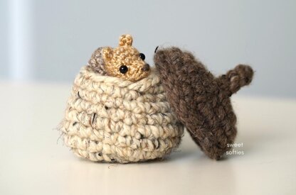Baby Squirrel in Acorn