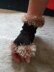 Glamorous Furry Fingerless Gloves
