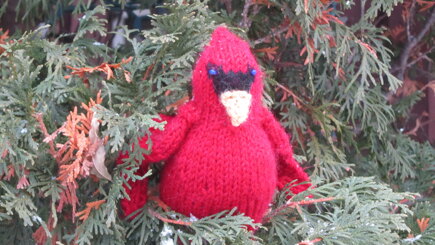 Cardinal Cisco #5
