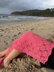 Fronde Shawl