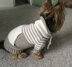 Oatmeal Sweater with Kangaroo Pocket for Dogs