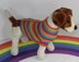 Small Dog Rainbow 4ply Back Button Up Coat