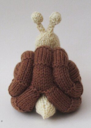 Snail Chocolate Orange Cosy