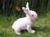 Cute Baby Bunny Toy Animal