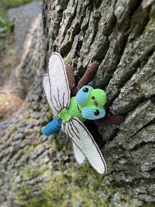 Dragonfly