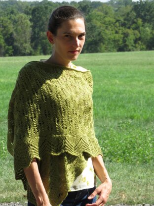 Fir Cone and Lace Shawl