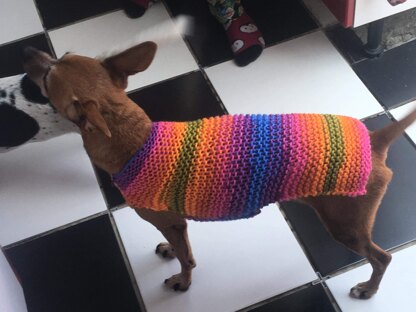 Stripy dog sweater