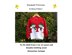 P117 Snowmen Motif Jumper