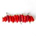 My Crochet Kitchen Chillies
