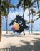 Bird Squidgems
