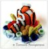 Clownfish with corals