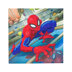 Crystal Art Spiderman Card Diamond Painting Kit