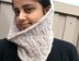 Vine Rose Cowl