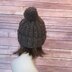 Chunky Vail Ribbed Hat