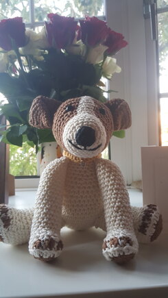 Jeremy the Jack Russells #2