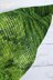 Green Tea shawl