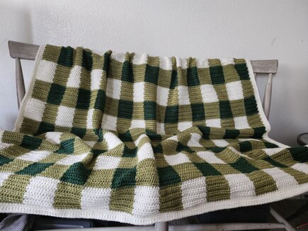 Modern Gingham Throw #3
