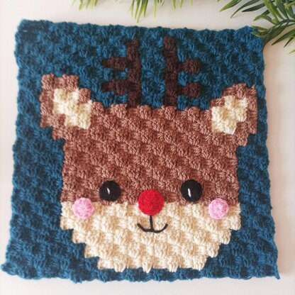 9in1 Christmas Cushion