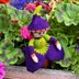 Crocus Flower Doll Knitting Pattern