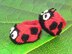 Baby Ladybird (Ladybug) Booties