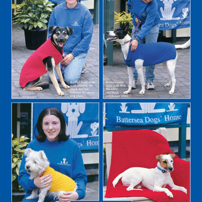 Dog Coat and Blanket in Hayfield Bonus DK - 5792 - Downloadable PDF