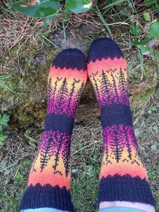 Tree Socks