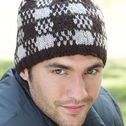 Check Mate Fair Isle Hat in Patons Classic Wool Worsted