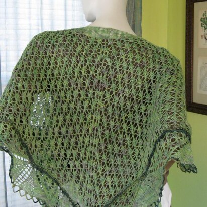 The Poet Shawl