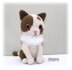 Casey Cat Crochet Pattern