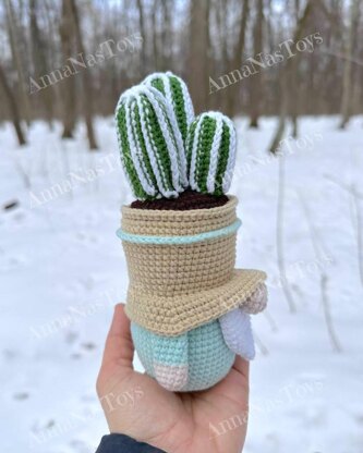 Gnome-cactus in a pot 3