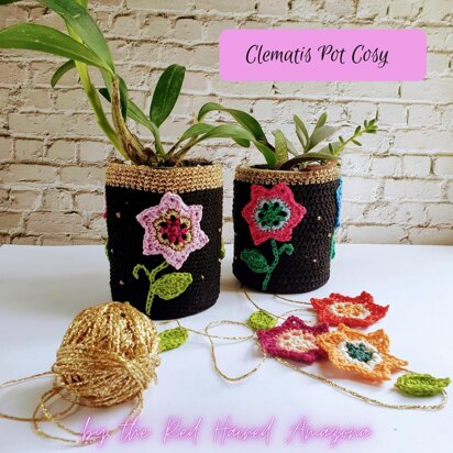 Clematis Pot Plant Cosy