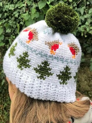 Winter Robin Beanie