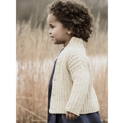 Blue Sky Fibers Cookies and Cream Cardi PDF