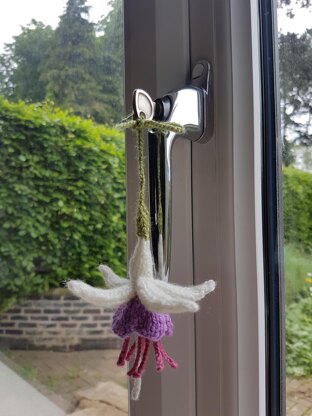 Knitted Fuchsia