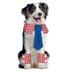 Simplicity Pet Collars, Cuffs and Dresses S9507 - Paper Pattern, Size A (XS-S-M-L-XL)