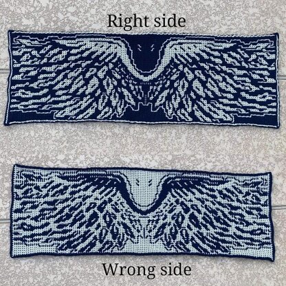 Wings are Freedom Shawl