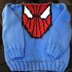 Spider Sweater