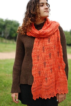 Stheno Shawl