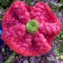 Twisted Tweed Flower Brooch Knitting Pattern - Free Knitting Pattern