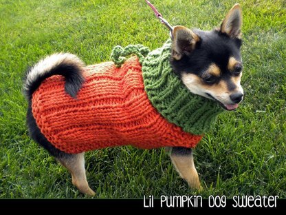 Lil Pumpkin Dog Sweater